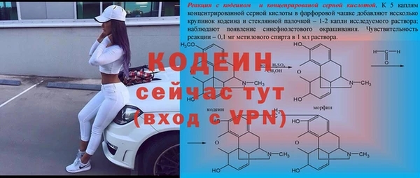 ГАЛЛЮЦИНОГЕННЫЕ ГРИБЫ Медногорск